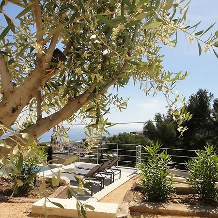 - Maison Mediterranee - Piscine Chauffee A 30c