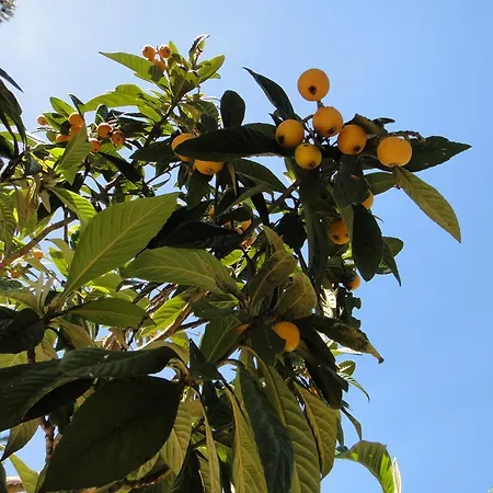 - Maison Mediterranee - Piscine Chauffee A 30c Ferienhaus
