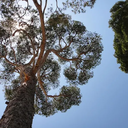 Ferienhaus - Maison Mediterranee - Piscine Chauffee A 30c *